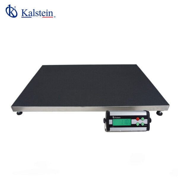 The Kalstein Veterinary Scale Boosts Excellence in Animal Care Kalstein